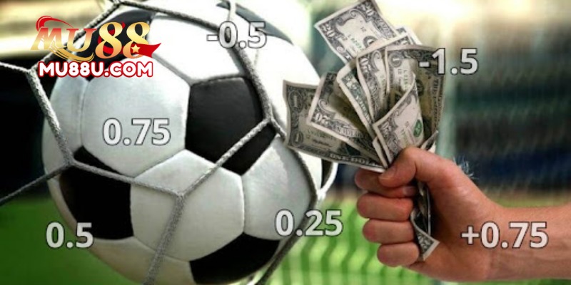 Kèo Chấp 0.5: Cách Thức Hoạt Động Và Lợi Ích 3 Kèo Chấp 0.5