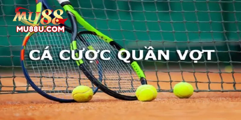Sbo Sports Mu88: Địa Chỉ Cá Cược Chất Lượng Nhất 3 Sbo Sports Mu88