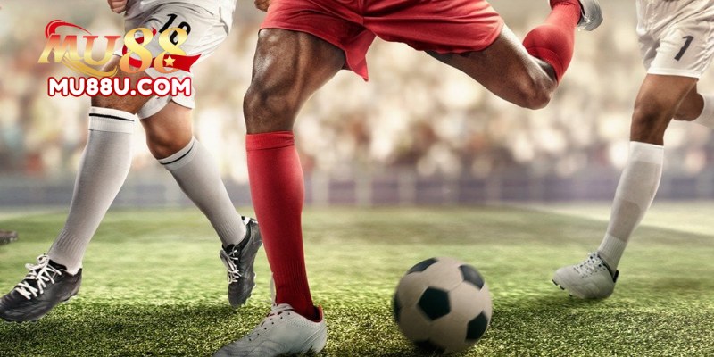 Tìm Hiểu Về We Sports Mu88: Đam Mê Và Cam Kết 1 We Sprots Mu88